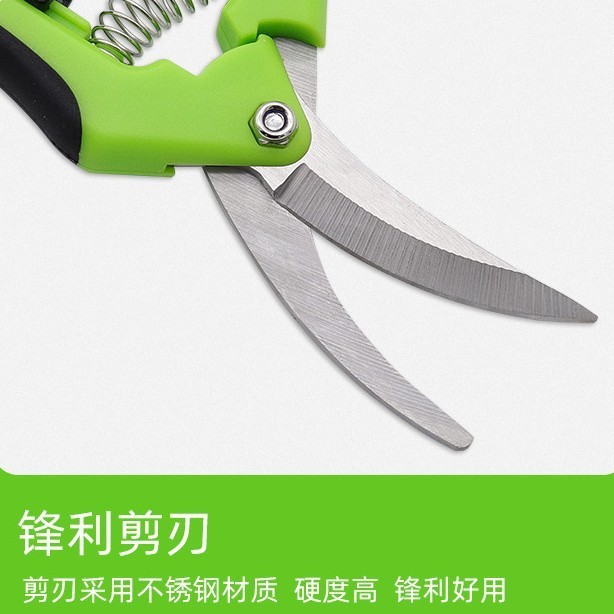 不锈钢花枝剪刀修枝剪 弯头园林园艺剪刀 弹簧省力修枝剪批发定制图4