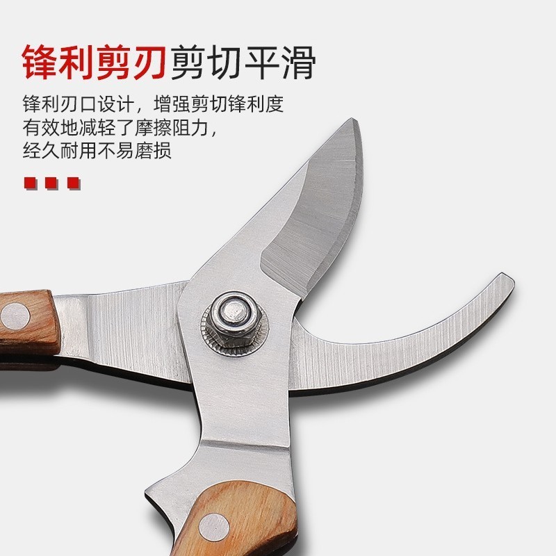专业加工定制强力修枝剪果树粗枝剪家用树枝摘果剪园林工具图2