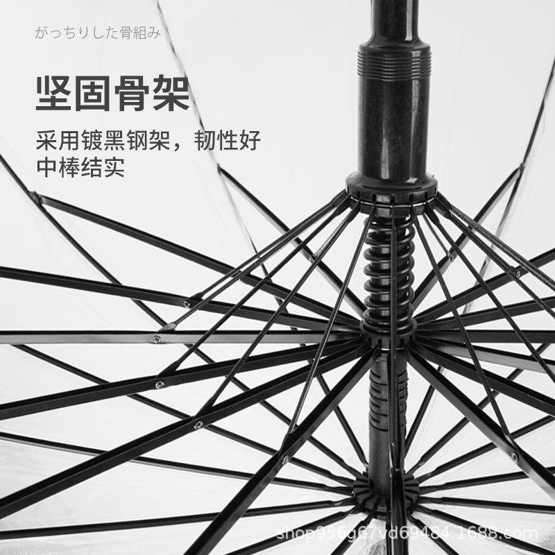 广告透明伞定制写生画画背景道具直杆伞清新日系风格长柄透明雨伞图4