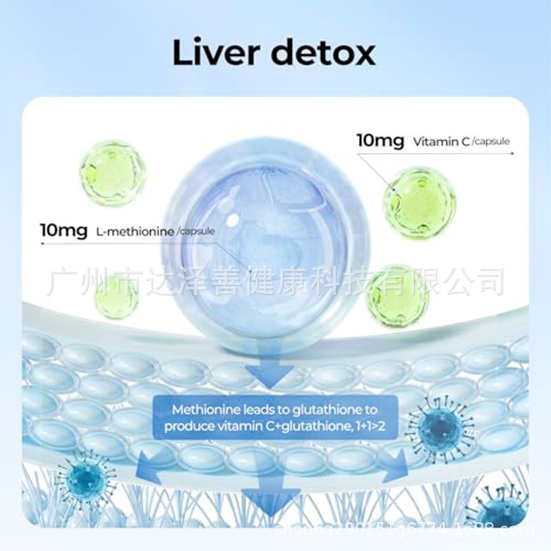 飞蓟素食胶囊Milk Thistle Vegetarian Capsules标签设计oem定制图2