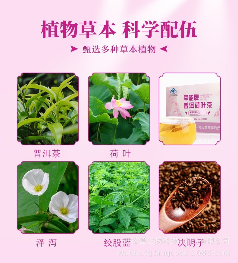 蓝帽健字号肥减茶普洱茶荷叶泽泻绞股蓝决明子袋泡茶保健食品图5