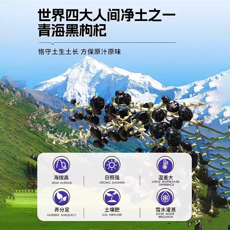 工厂OEM黑枸杞原浆原液花青素饮品宁夏枸杞子汁原浆袋定制包装礼图2