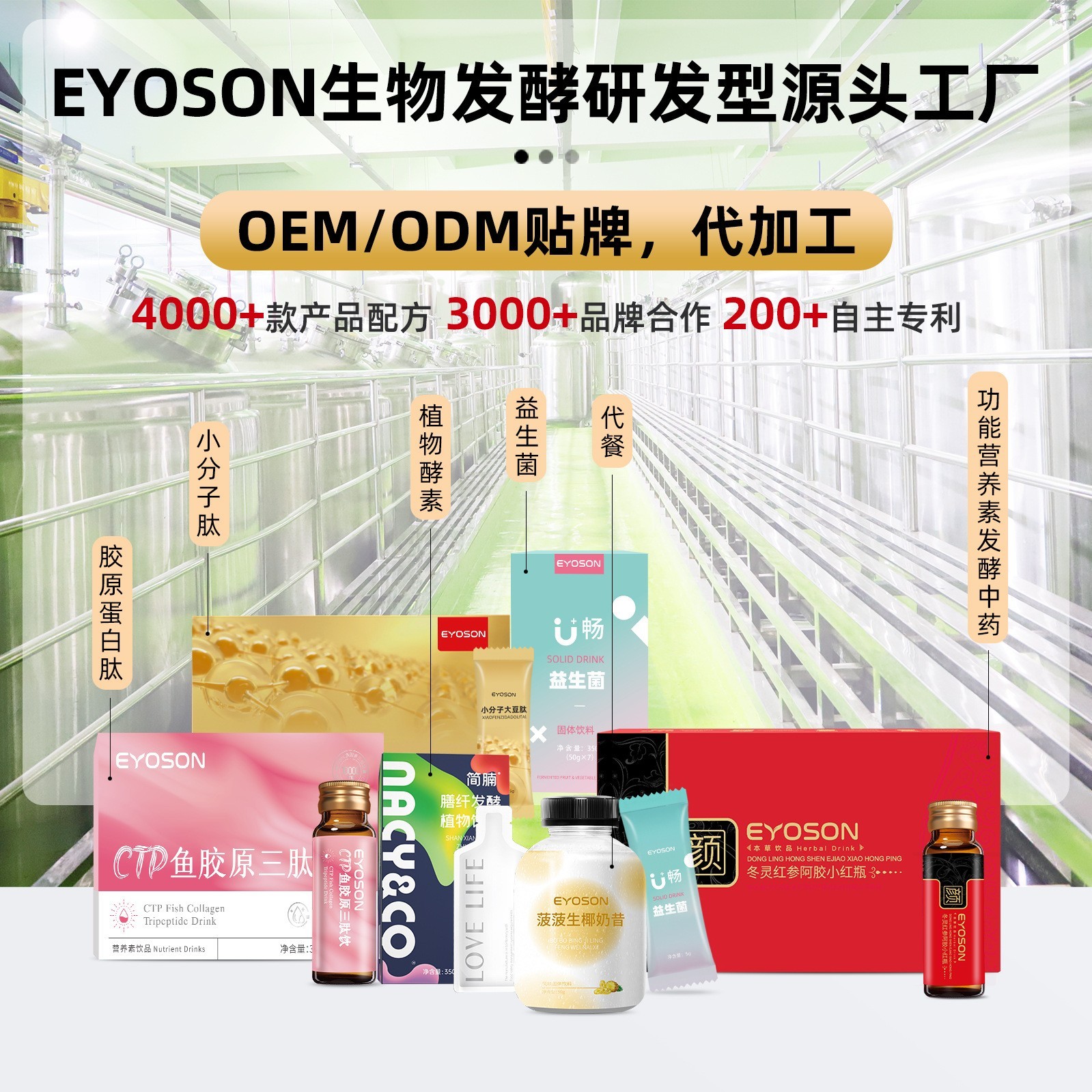 金线莲水飞蓟益甘饮定制 葛根灵芝液oem 沙棘葛根本草饮生产厂家图5