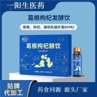 葛根灵芝调甘饮定制 熬夜人参灵芝饮OEM 葛根枳椇子本草饮代工厂