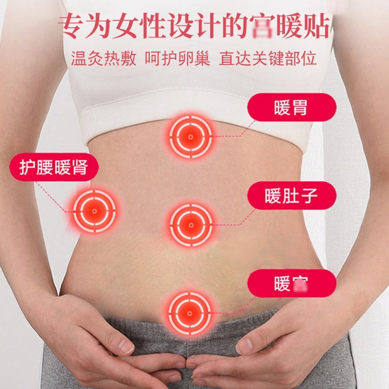 热磁理疗宫暖贴OEM贴牌代工热敷贴私域暖腰贴温灸贴艾灸贴热灸贴图5