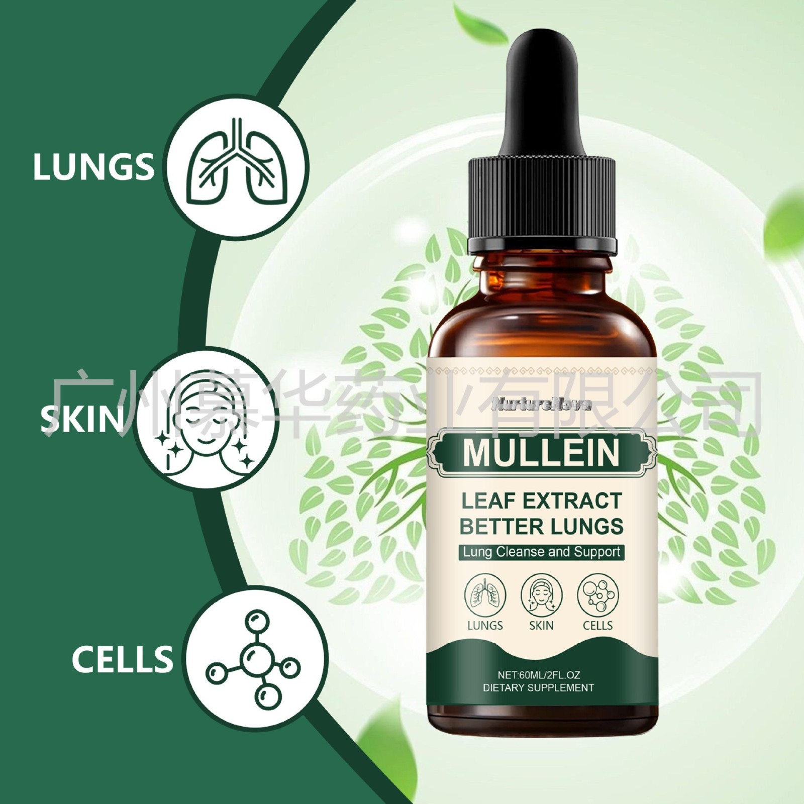 外贸跨境出口MULLEIN Lung Cleanse and Support肺部清洁滴剂60ml图2