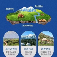 儿童成长驼乳配方奶粉骆驼奶粉学生新疆奶源