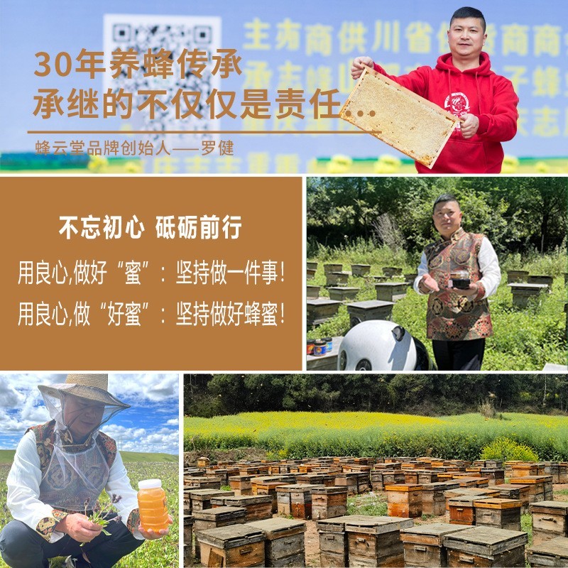 蜂巢蜜独立小块包装30g便携小块旅销小包装巢蜜小巢蜜厂家图2
