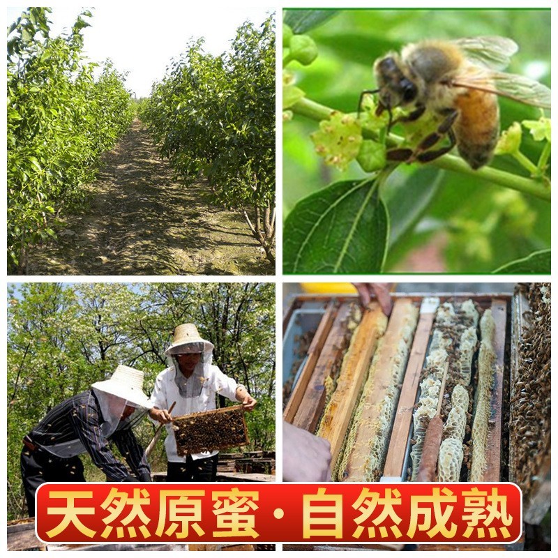 云南蜂蜜源头厂家贴牌悬崖血蜜百花土蜂蜜木桶树洞悬崖蜜图2