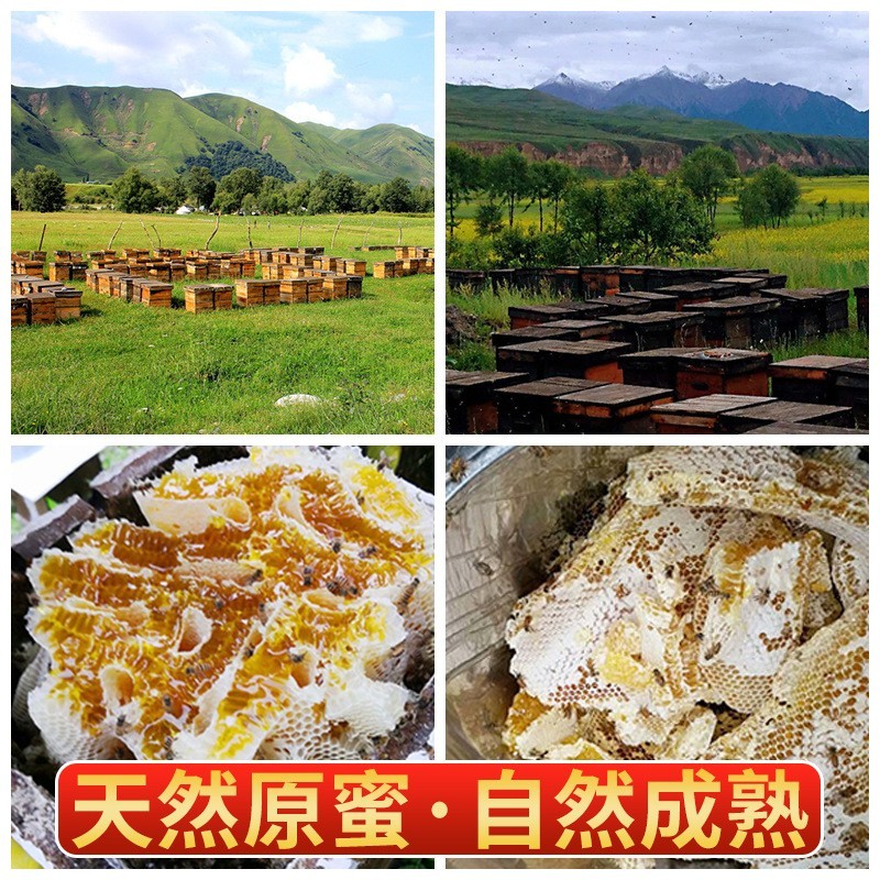 云南蜂蜜贴牌天结晶百花蜜高原特产藏蜜贡蜜云南原产蜂蜜图3