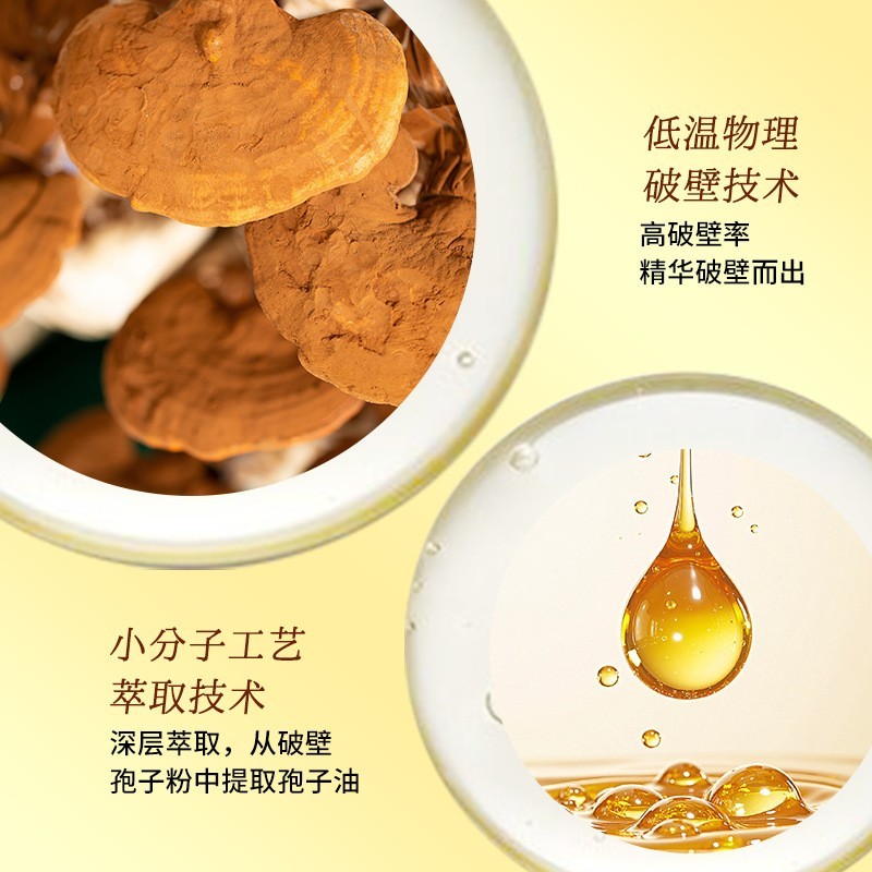 灵芝孢子油软胶囊贴牌定制破壁灵芝孢子粉私域灵芝孢子油软胶囊图3