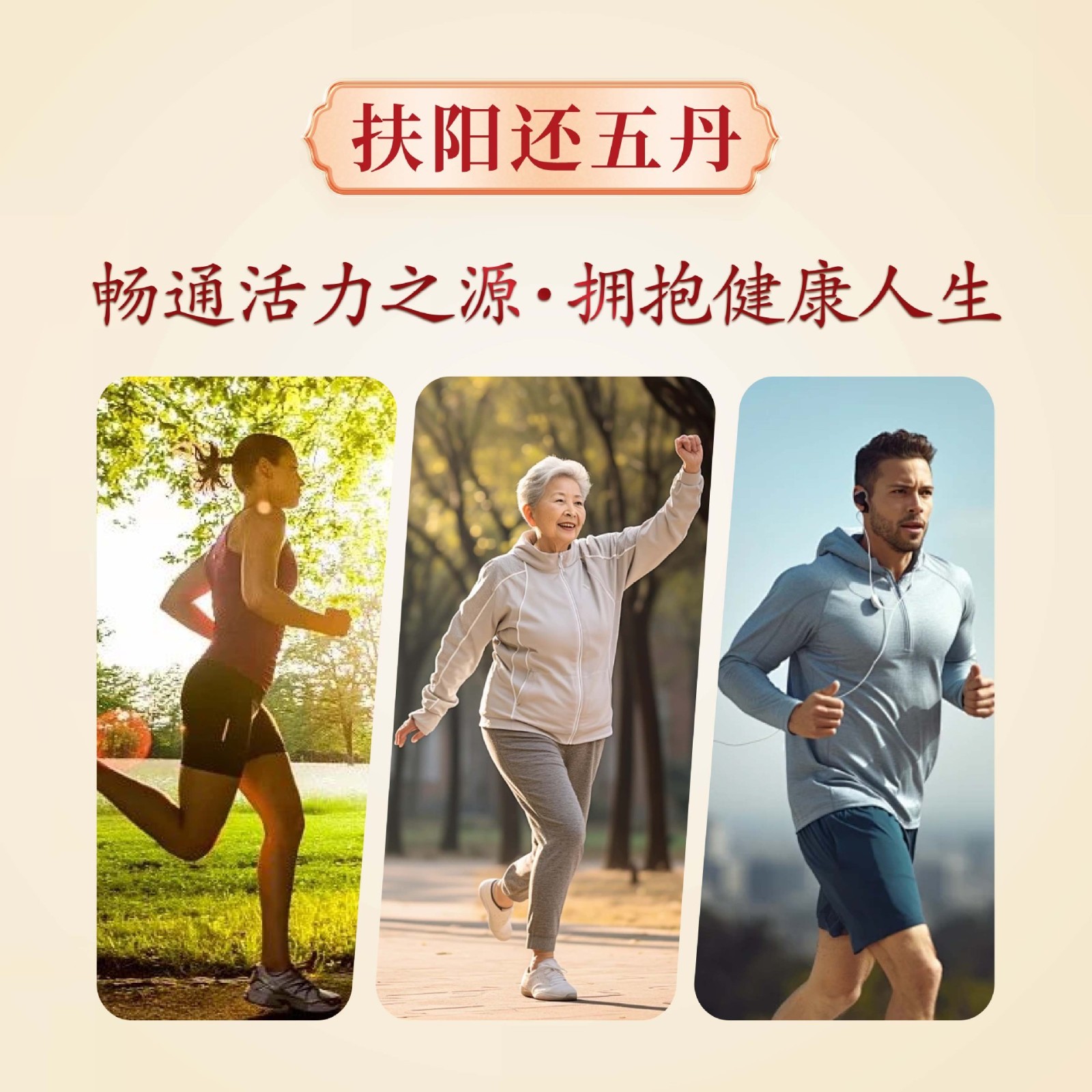 补元气黄芪人参地龙蛋白食丸元气四宝中老年调理养生健康八蒸八晒图2