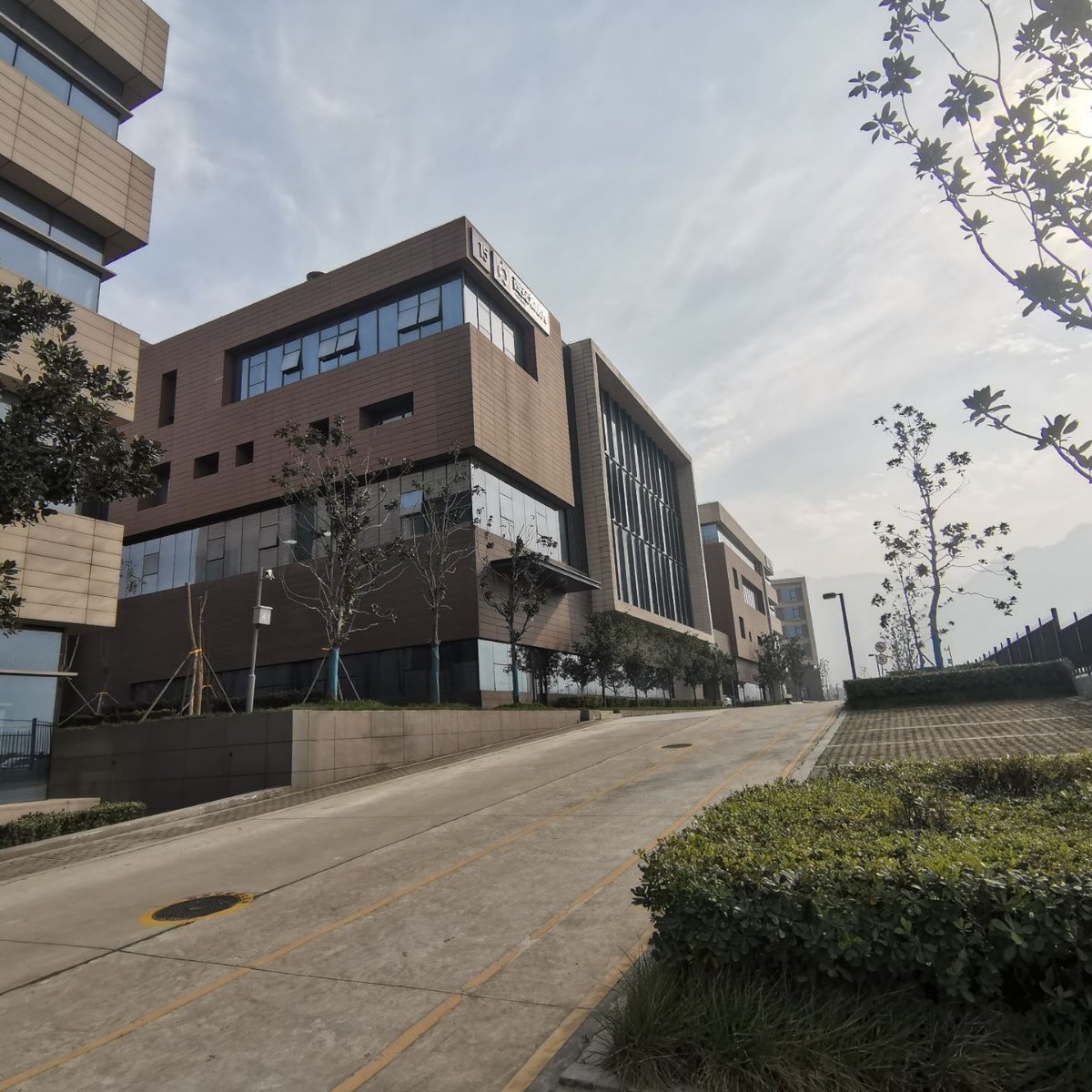 胶原蛋白葡萄籽压片糖果厂家营养美容美白美颜美白养颜图4