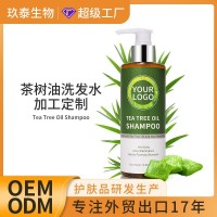 OEM茶树精油洗发水植物精华强韧头皮清洁头屑洗发露代加工定制
