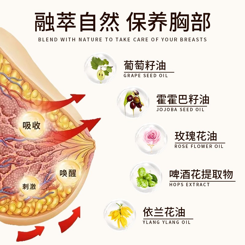 定制OEM美胸按摩精油 胸部乳房产后护理下垂紧致提拉精华液贴牌图4