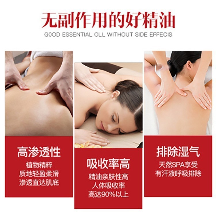 玫瑰精油 美容院玫瑰净颜按摩油香薰精油滋养肌肤开背精油刮痧油图2