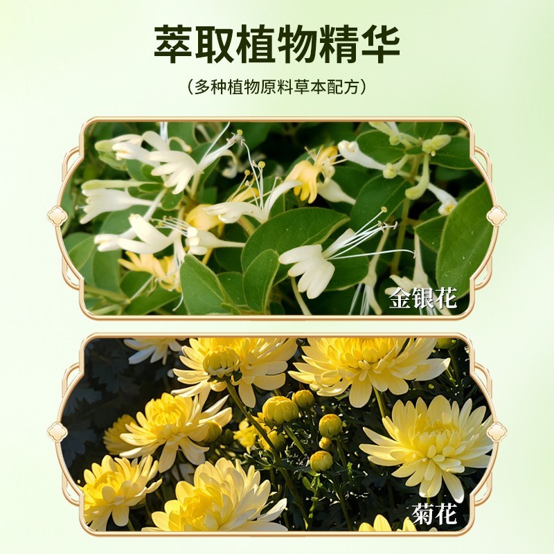 定制草本润目液草本用品温和滋养眼眶给眼睛做一个spa美容院加工图4