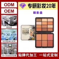 多色网红眼影盘细腻不飞粉珠光哑光大地色眼影盘定制