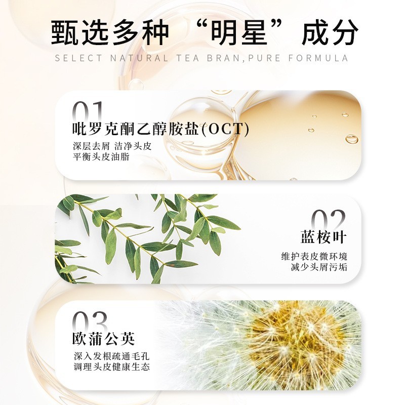 蓝桉树叶去屑止痒洗发露蓬松清爽头皮去油OEM贴牌代加工源工厂图4