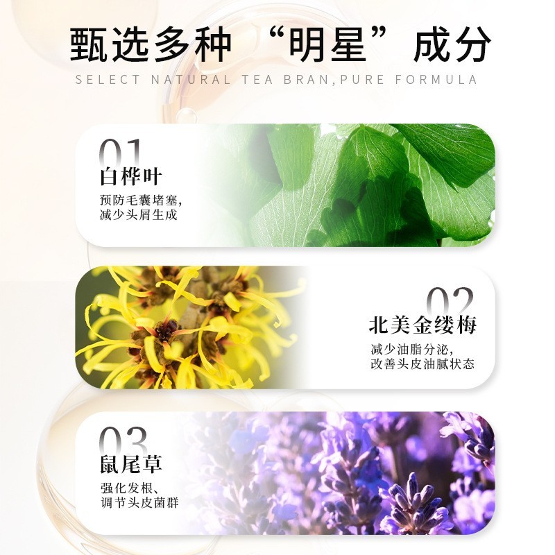 金缕梅控油洗发露蓬松清爽头皮净透OEM贴牌定制代加工源头工厂图3