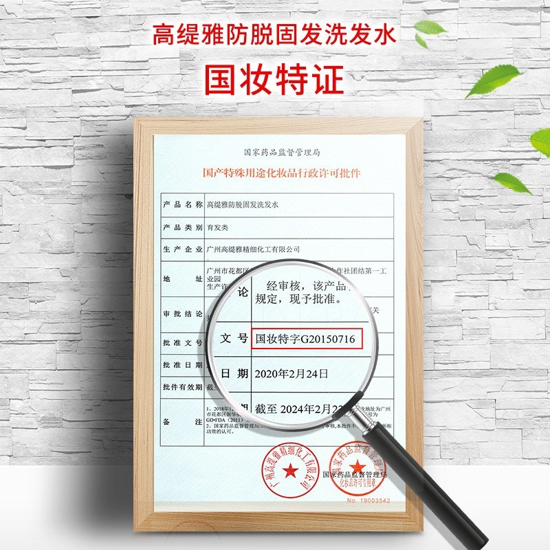 生姜防脱固发洗发水oem加工 去屑洗发头水膏露贴牌定制代工图4