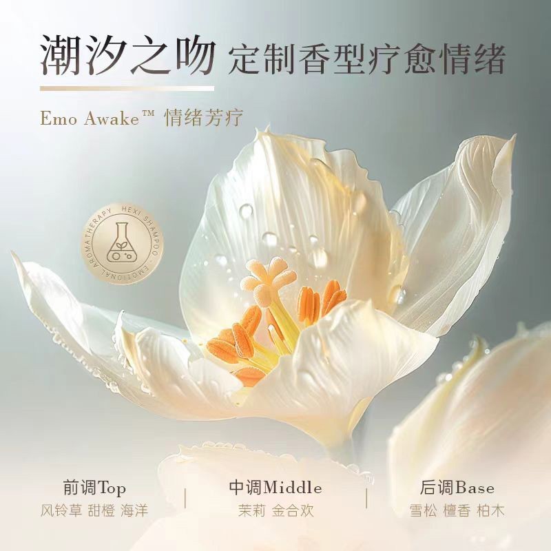 爆款控油去屑洗发水持久留香定制活性锌轻盈洗发水贴牌护发素厂家图3