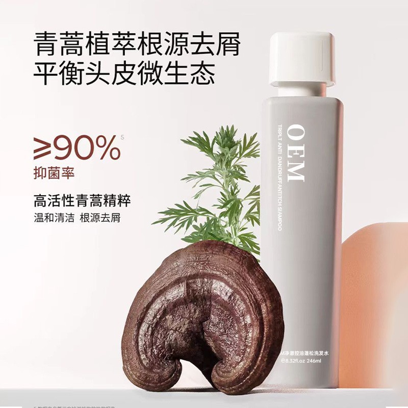 定制青蒿素洗发水三重去屑洗发水贴牌止痒洗头膏OEM洗护源头工厂图3