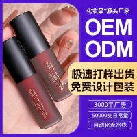 口红唇釉定制OEM多色可选哑光滋润雾面镜面沾杯唇彩丰唇不易沾杯