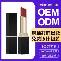 口红唇釉定制打样学生党口红管包材工厂跨境彩妆奶茶色