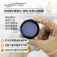 跨境oem代加工唇膜沧溟沁润保湿补水滋润去死皮冬唇膏化妆品定制