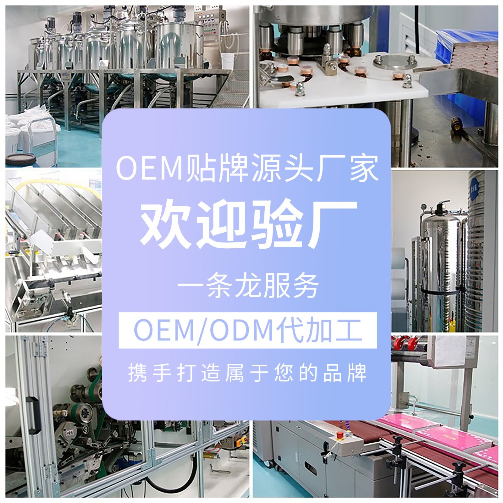 OEM山茶氨基酸洁面乳 控油祛痘滋润深层清洁维护不刺激洗面奶定制图2