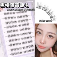 【10排免胶】免胶免卸妈生灵动自然仿真清透单簇眼睫毛
