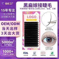 工厂定制跨境双尖扁毛睫毛单根卷翘假睫毛自然大容量黑扁嫁接睫毛