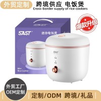 外贸定制电饭煲迷你家用1L容量多功能小型电饭锅SAST迷你电饭煲