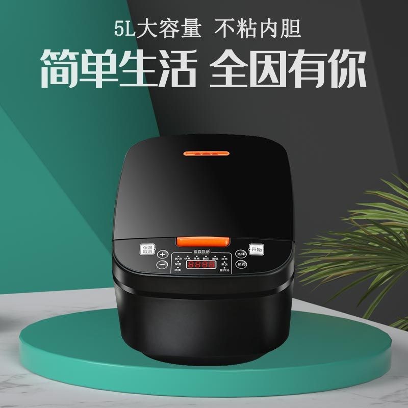 外贸欧规插头电饭煲定制电饭煲家用智能电饭锅5升大容量跨境专供图2