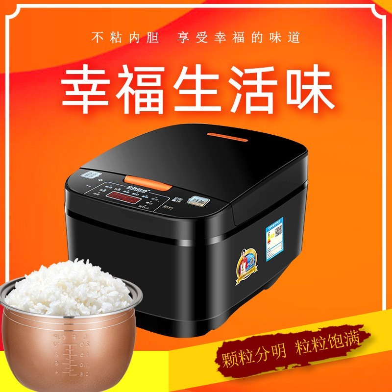 外贸欧规插头电饭煲定制电饭煲家用智能电饭锅5升大容量跨境专供图3