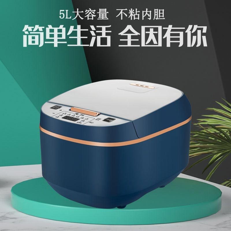 家用迷你电饭煲预约定时不粘锅智能5L大容量电饭锅厂家图2