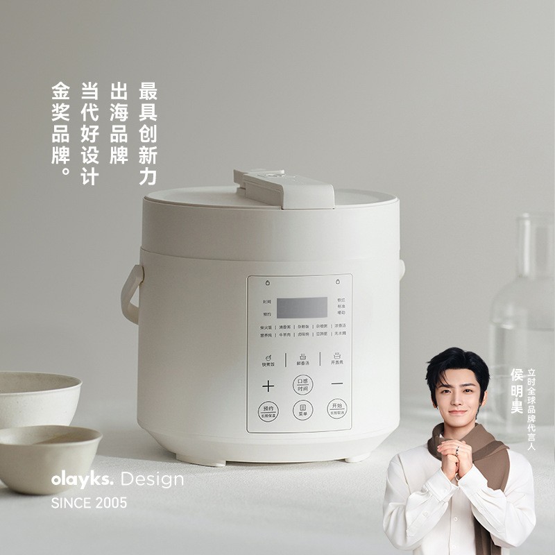 畅销日韩设计电压力锅家用小型迷你智能2L高压锅饭锅煲图4