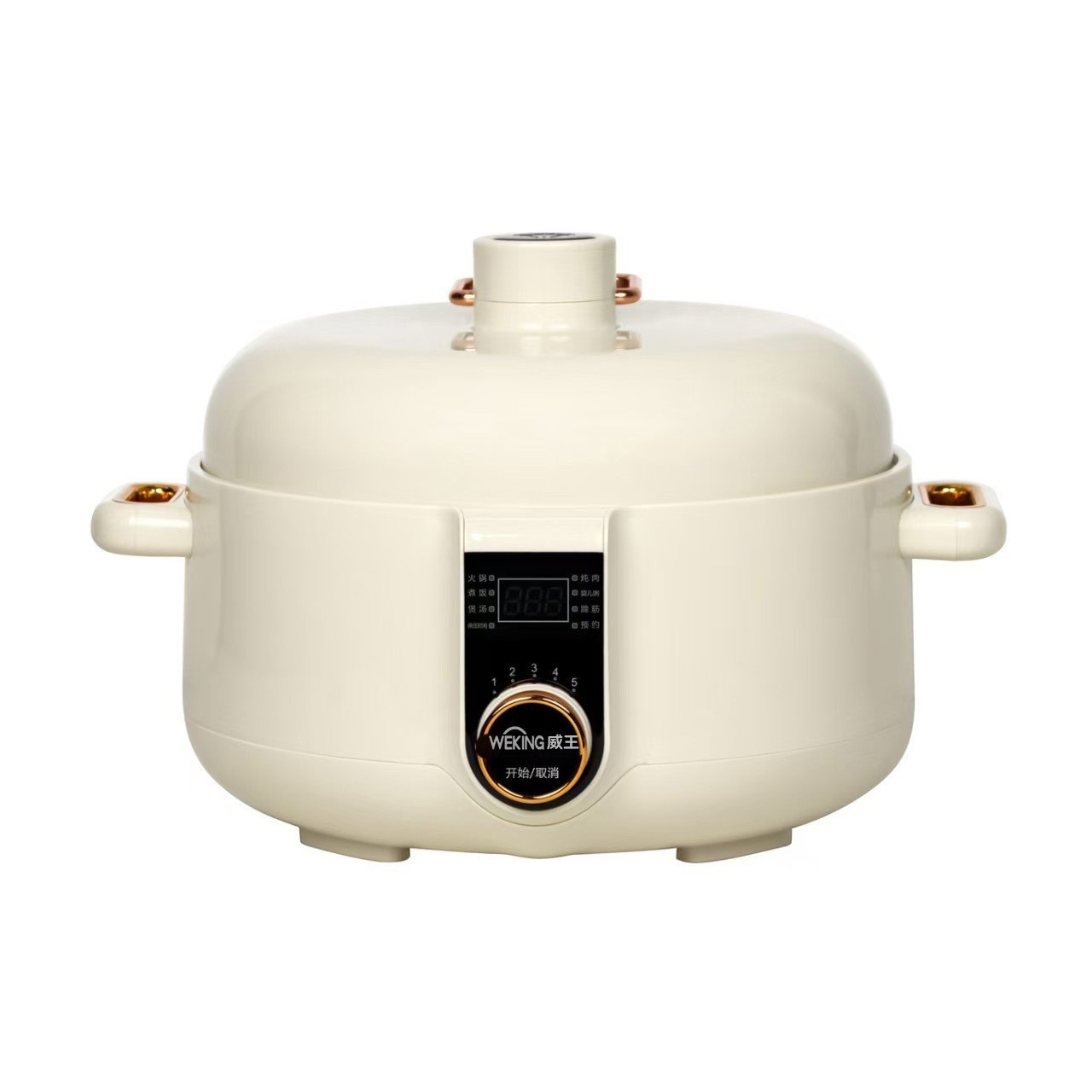 电压力锅家用多功能迷你3升全自动电压力火锅厂家图5