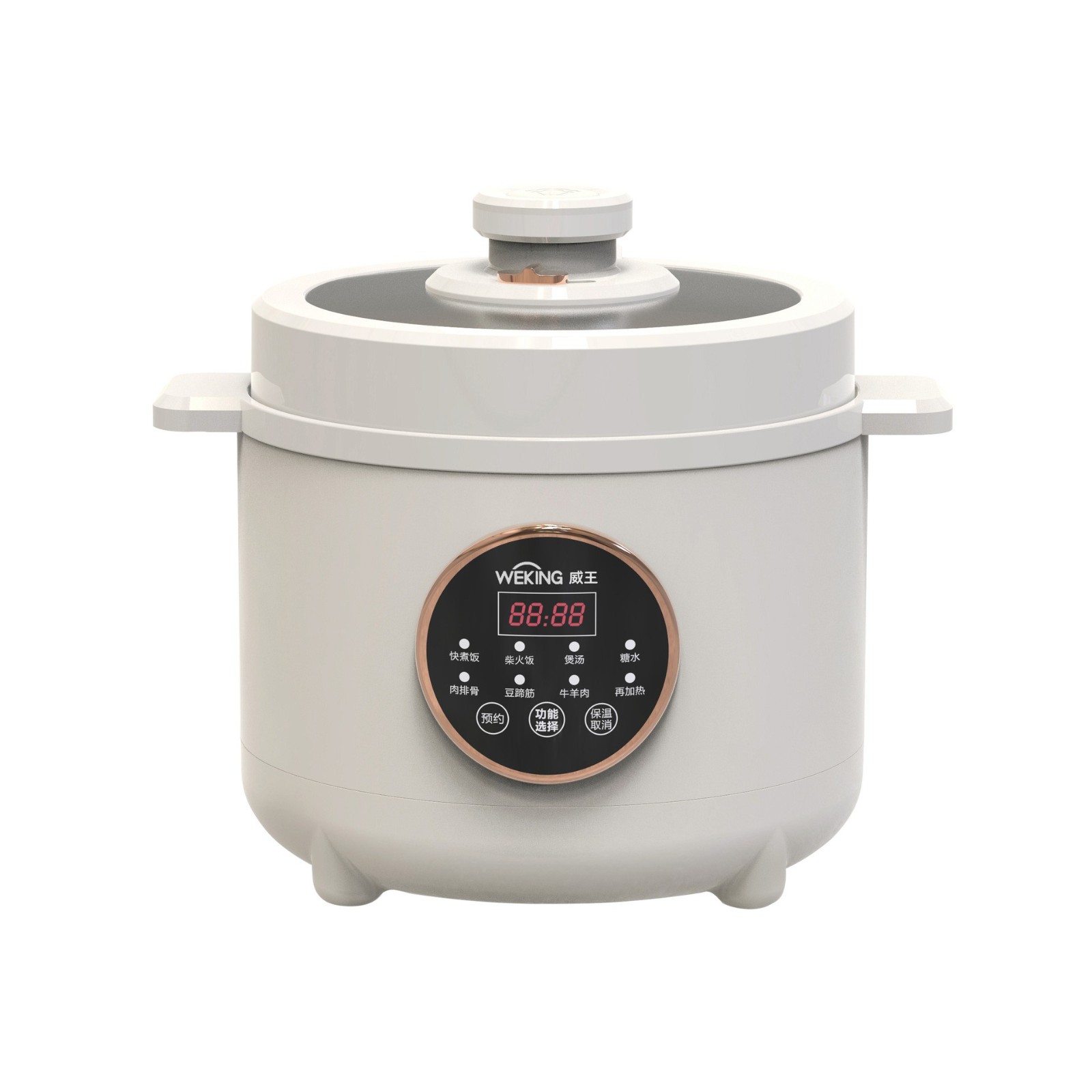 多功能电压力锅5L高压锅迷你家用多功能智能电饭煲加工定制图5