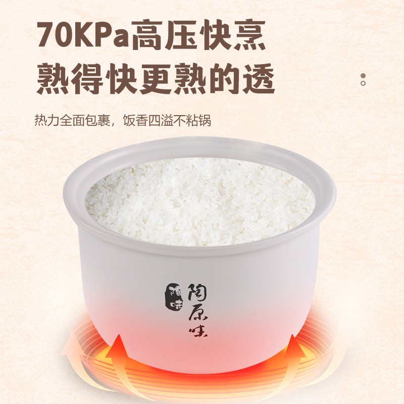 定制英文陶瓷内胆电压力锅家用无涂层内胆智能110V/220V电压力锅图4