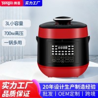 跨境源头工厂电压力锅3L容量家用自动智能电饭煲高压锅1-3人电锅