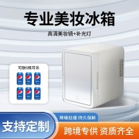 美妆冰箱4L灯化妆镜小冰箱车家两用护肤品冷藏箱冷藏保鲜便携式