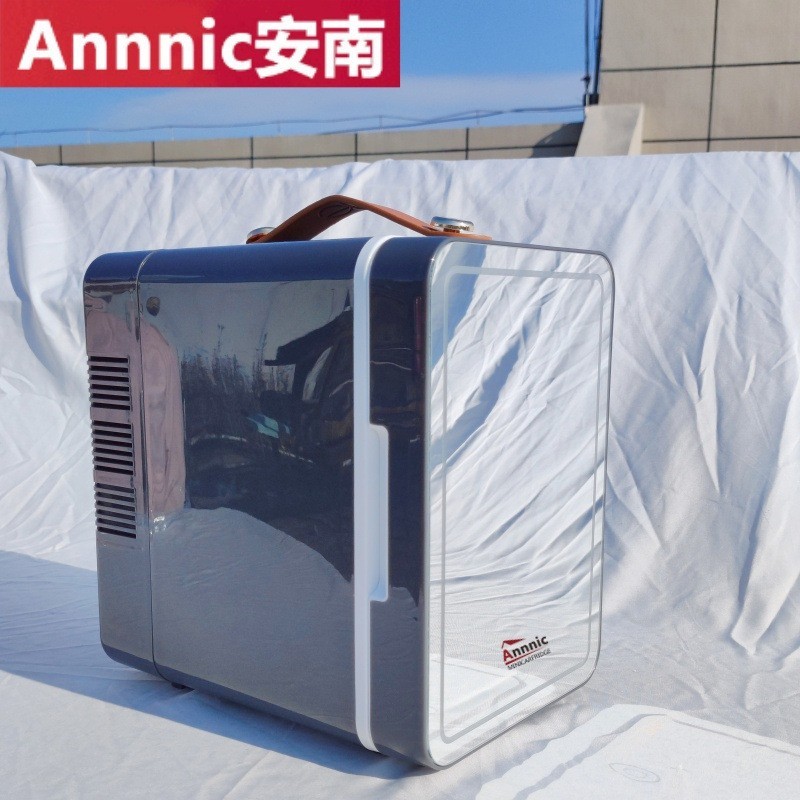 美妆冰箱110V美规跨境电商礼品12V冷热两用6L车家小冰箱图3