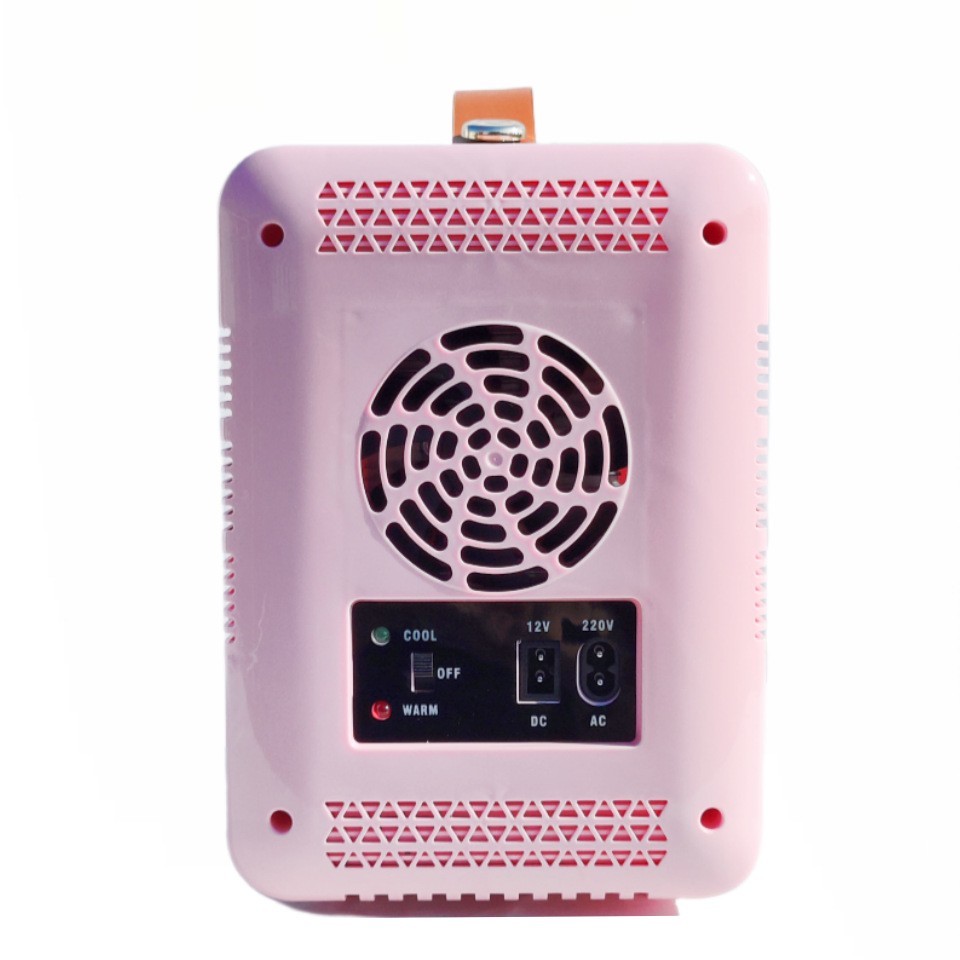 美妆冰箱110V美规跨境电商礼品12V冷热两用6L车家小冰箱图5