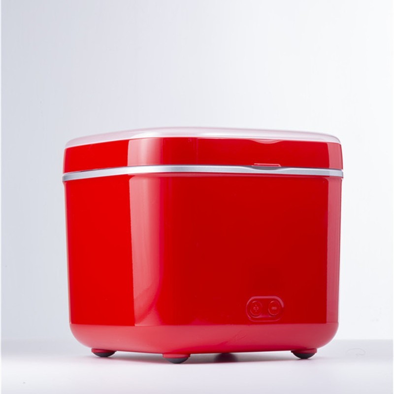 车载冰箱 快速制冷小冰箱 迷你小冰箱 化妆品面膜专用智能小冰箱图3