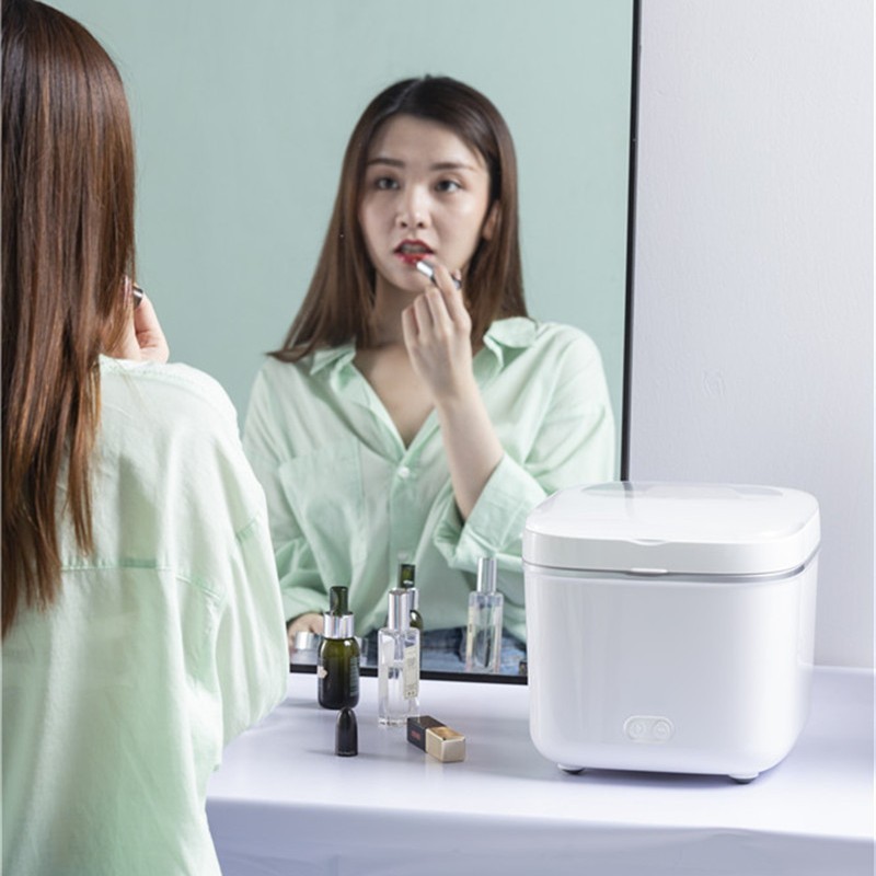 车载家用4L迷你小冰箱 化妆品面膜专用智能冰箱 工厂定制图4