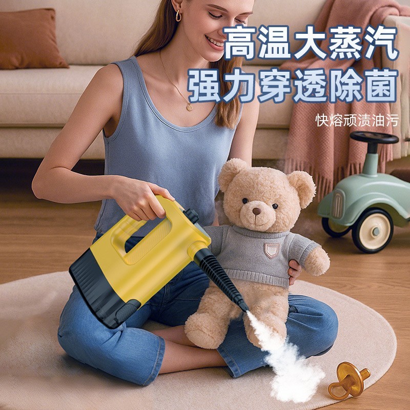 定制手持式高温蒸汽清洁机小型厨房空调家电油烟机消毒机手持除菌图2