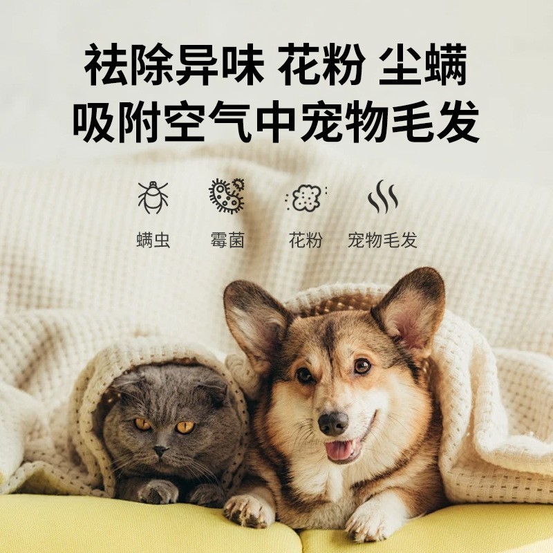 除醛空气净化器家用新房室内静音除菌OEM工厂定制宠物除浮毛图4