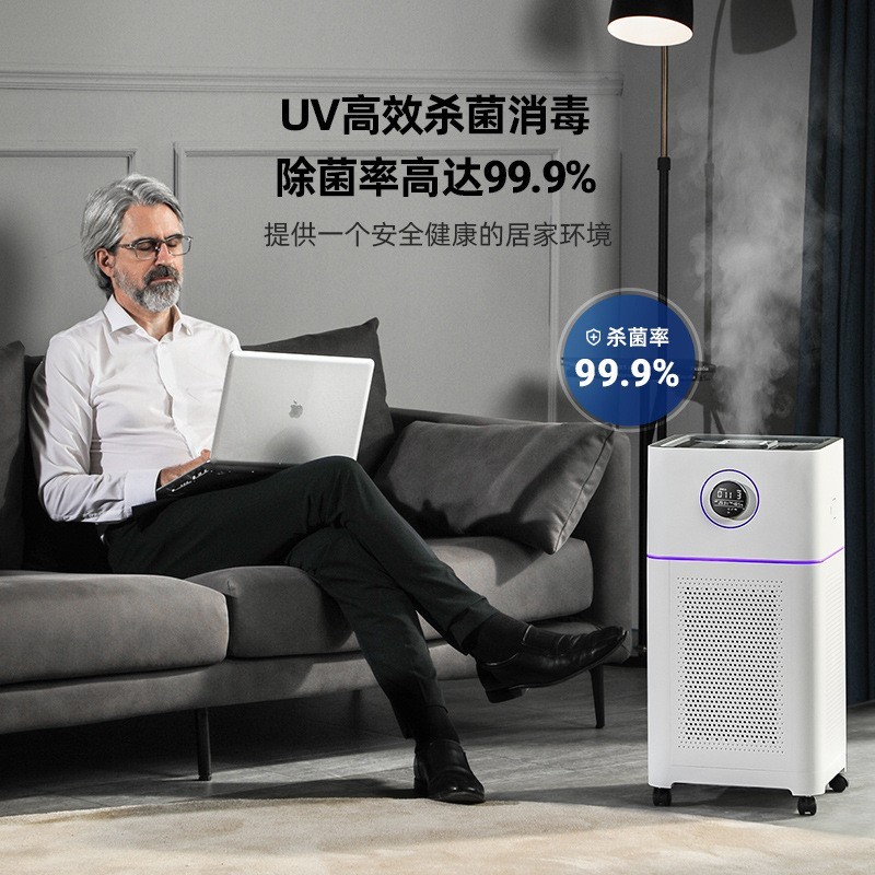 跨境出口OEM代工贴牌 空气净化器除甲醛除异味细菌新装修办公室图2